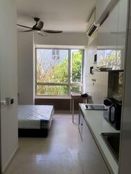 Flamingo Valley (D15), Condominium #562559891
